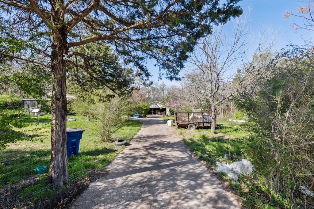 a view of a pathway with a tree