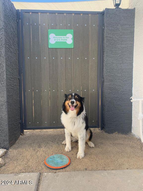 4229 North 17th Street Phoenix, AZ 85016 - Photo 19 of 20 a bathroom with a sink and a mirror
