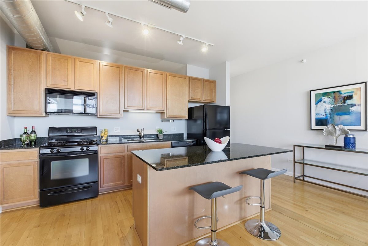 1200 West Monroe Street, Unit 716 Chicago, IL 60607 - Photo 7 of 19