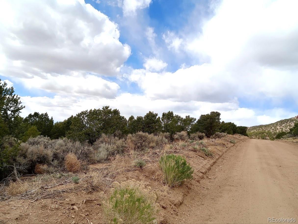 Lot 1258 Michaels Road Fort Garland, CO 81133 - Photo 3 of 14 Gallery Image 3