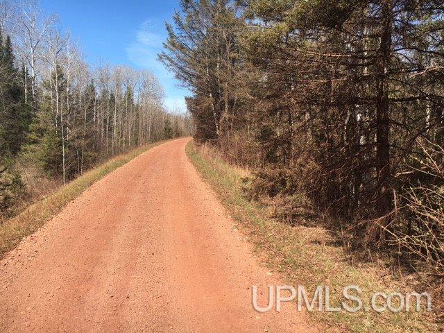 Tbd Brule River Alpha, MI 49902 - Photo 8 of 10
