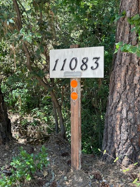 11083 Upper Previtali Road Jackson, CA 95642 - Photo 5 of 12