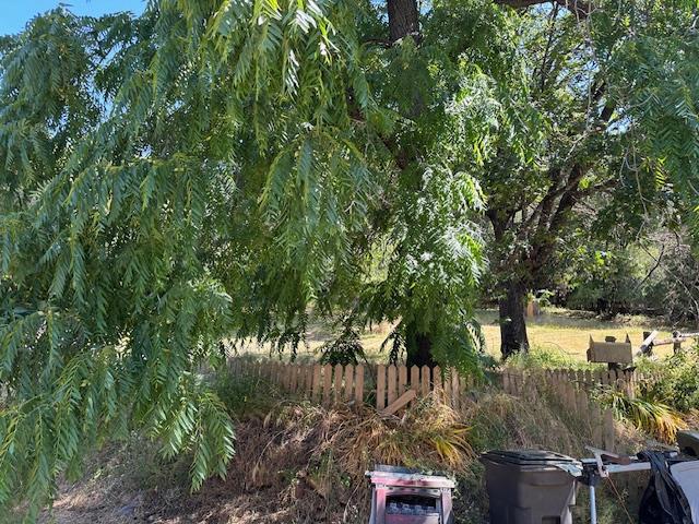 11083 Upper Previtali Road Jackson, CA 95642 - Photo 6 of 12