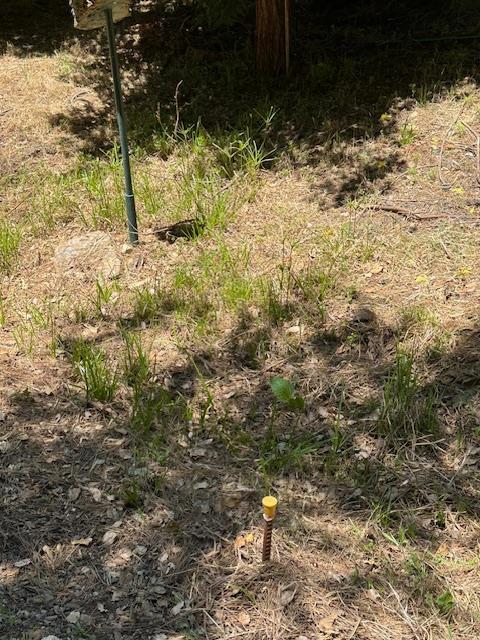 11083 Upper Previtali Road Jackson, CA 95642 - Photo 7 of 12