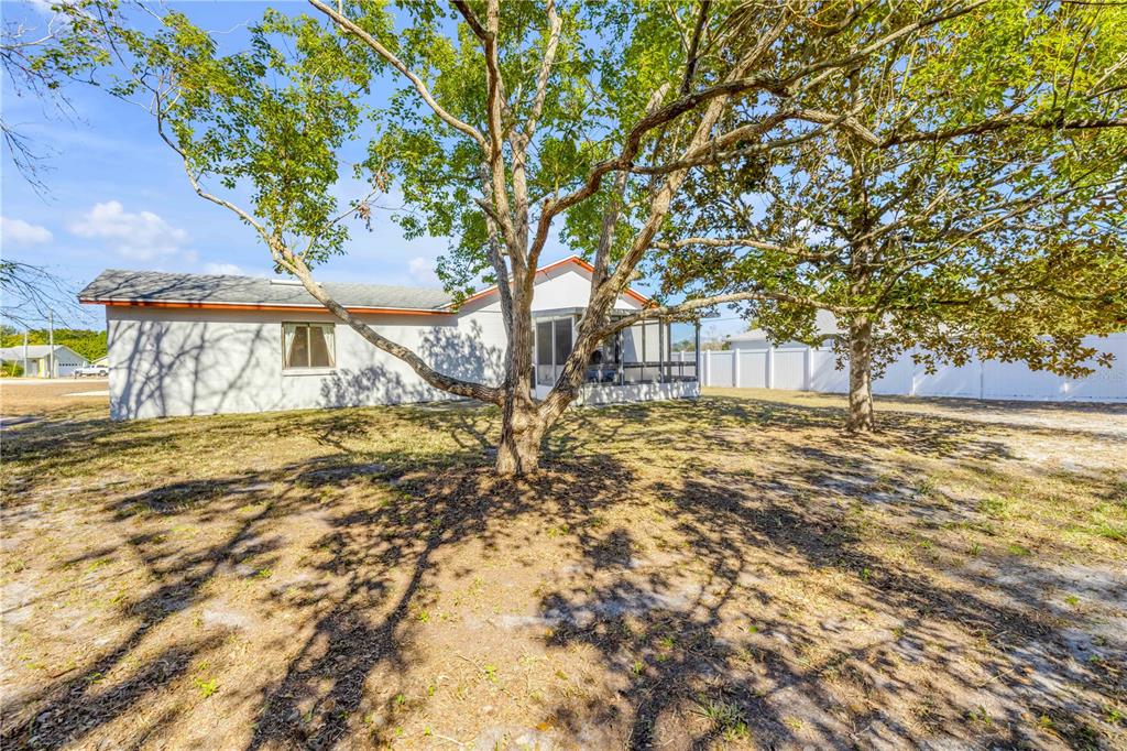 1981 South Merrick Drive Deltona, FL 32738 - Photo 22 of 30 a view of yard with trees