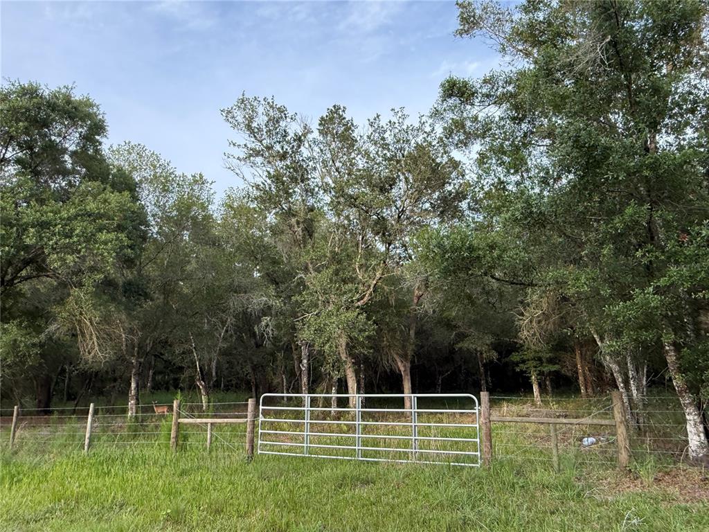Southeast Brown Road Arcadia, FL 34266 - Photo 4 of 18 a view of a basketball court