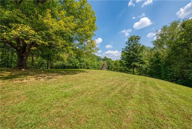 a view of outdoor space and yard