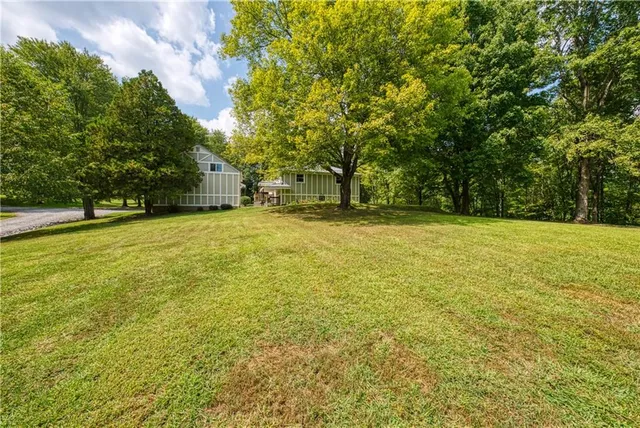 a view of a yard with a trees