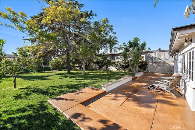 a view of a park with large trees