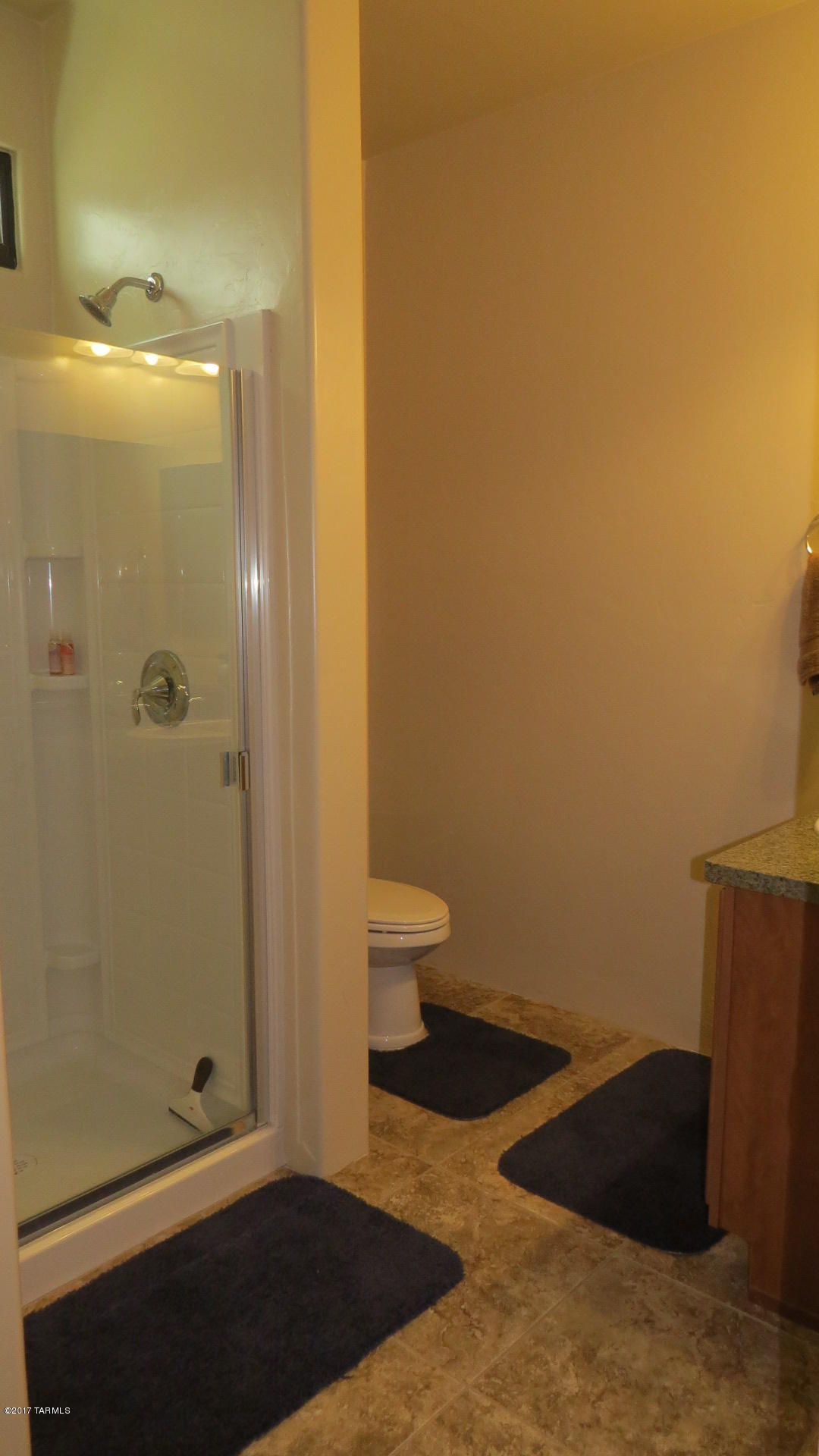 283 East Croydon Park Road Tucson, AZ 85704 - Photo 20 of 32
