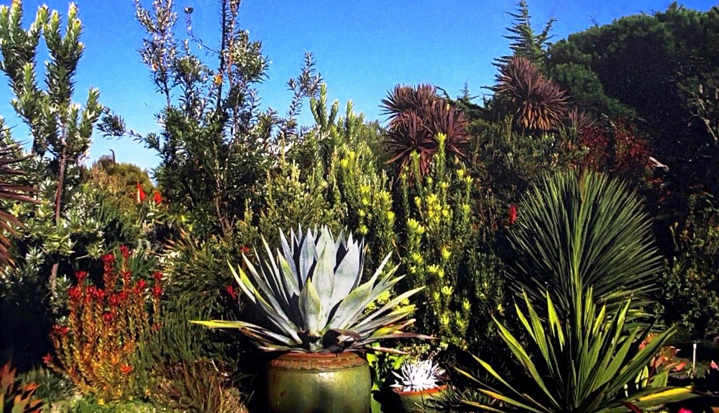 945 Back Ranch Road Santa Cruz, CA 95060 - Photo 27 of 31 Gallery Image 27