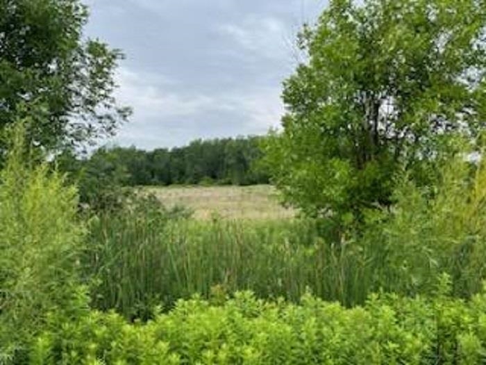 N/a North Tonkey Road Turner, MI 48765 - Photo 6 of 6