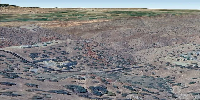 a view of a dry yard