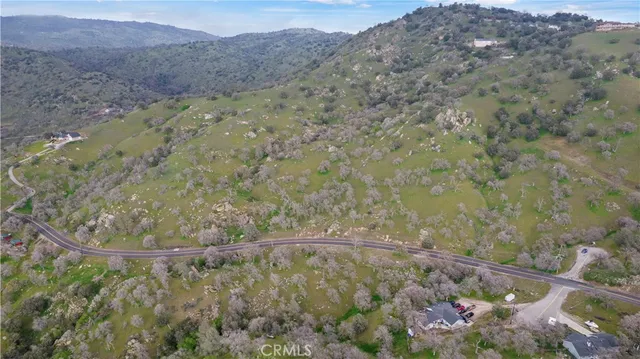 a view of a forest with a mountain view