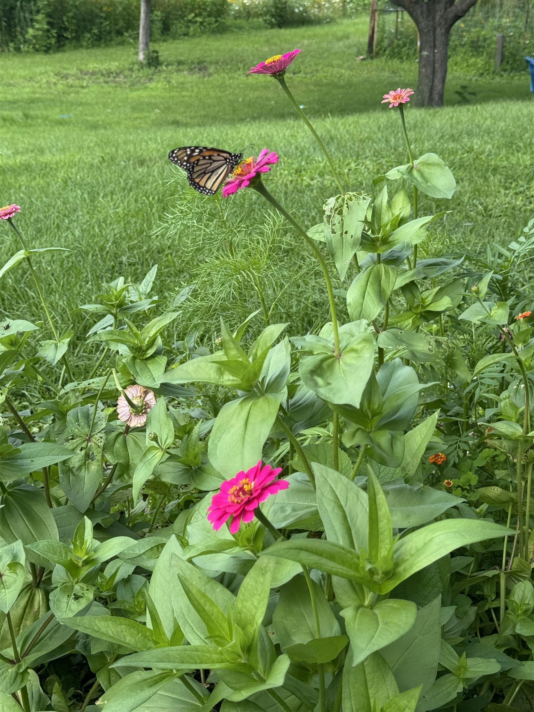 4989 North Ford Road Scales Mound, IL 61075 - Photo 68 of 93