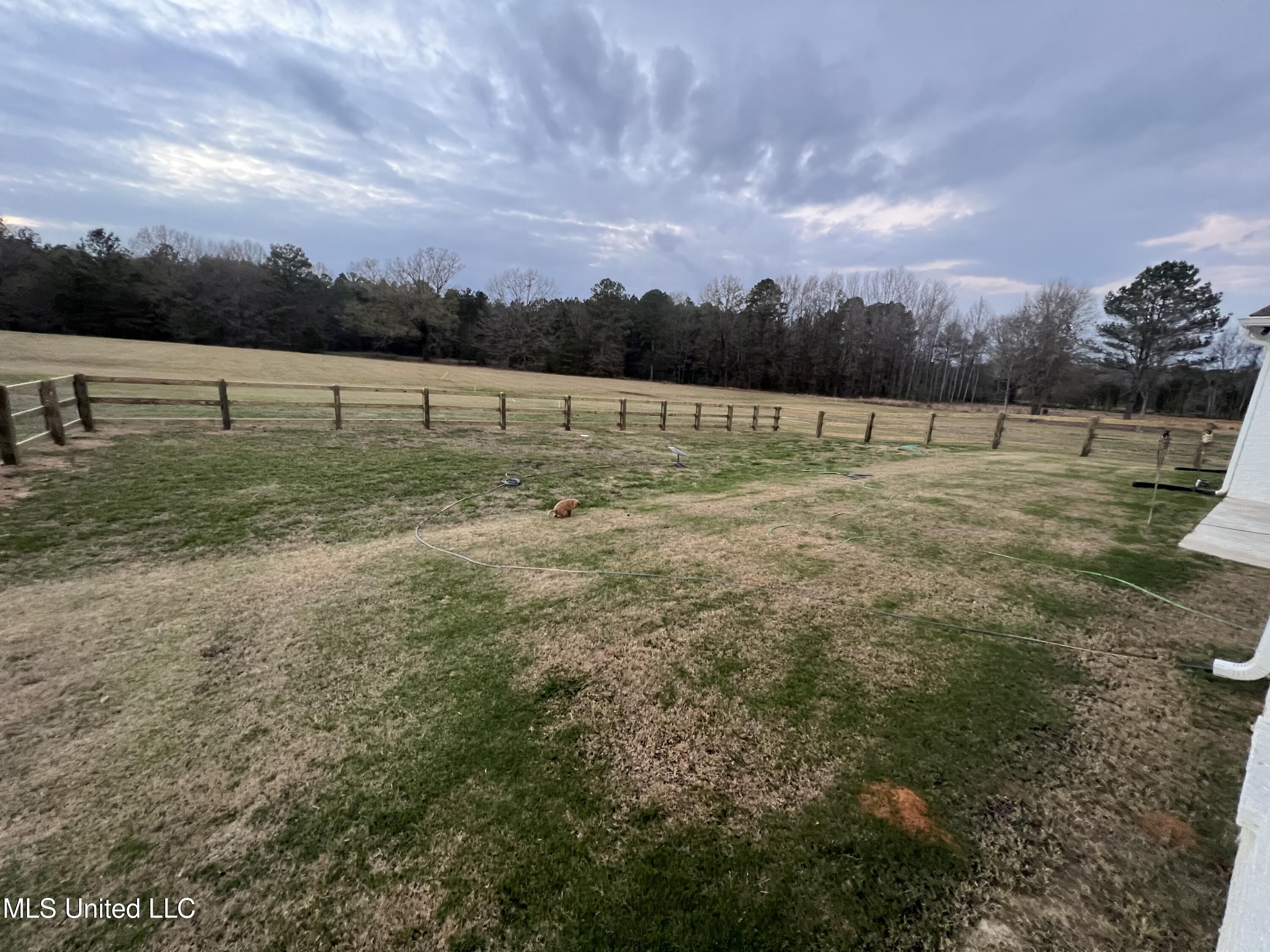 162 Harrell Road Pelahatchie, MS 39145 - Photo 45 of 60 IMG_6691