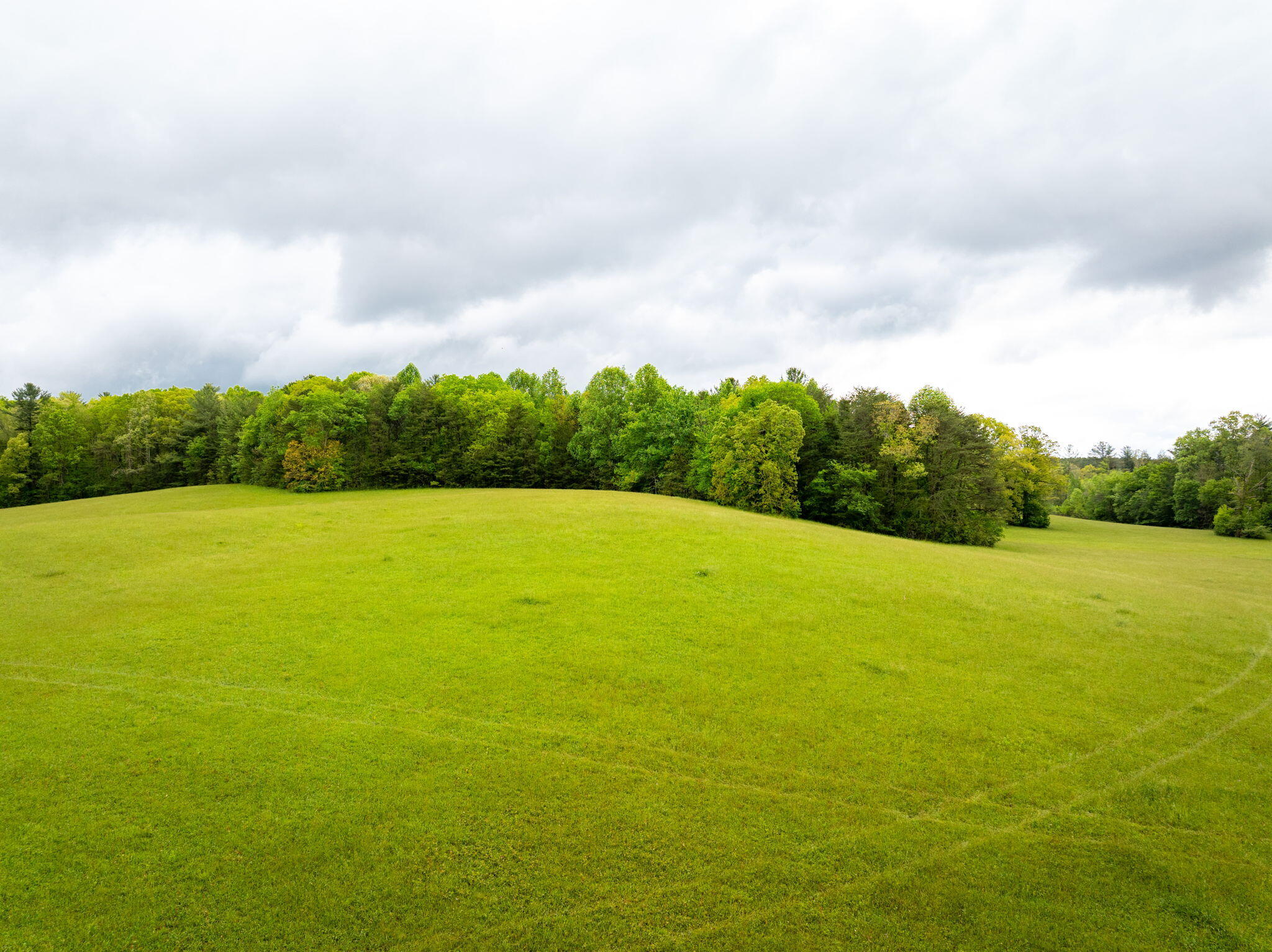 0 Blain Smith Road, Unit TRACT 8 Graysville, TN 37338 - Photo 4 of 8 11-web-or-mls-DJI_20250505095427_0066_D-