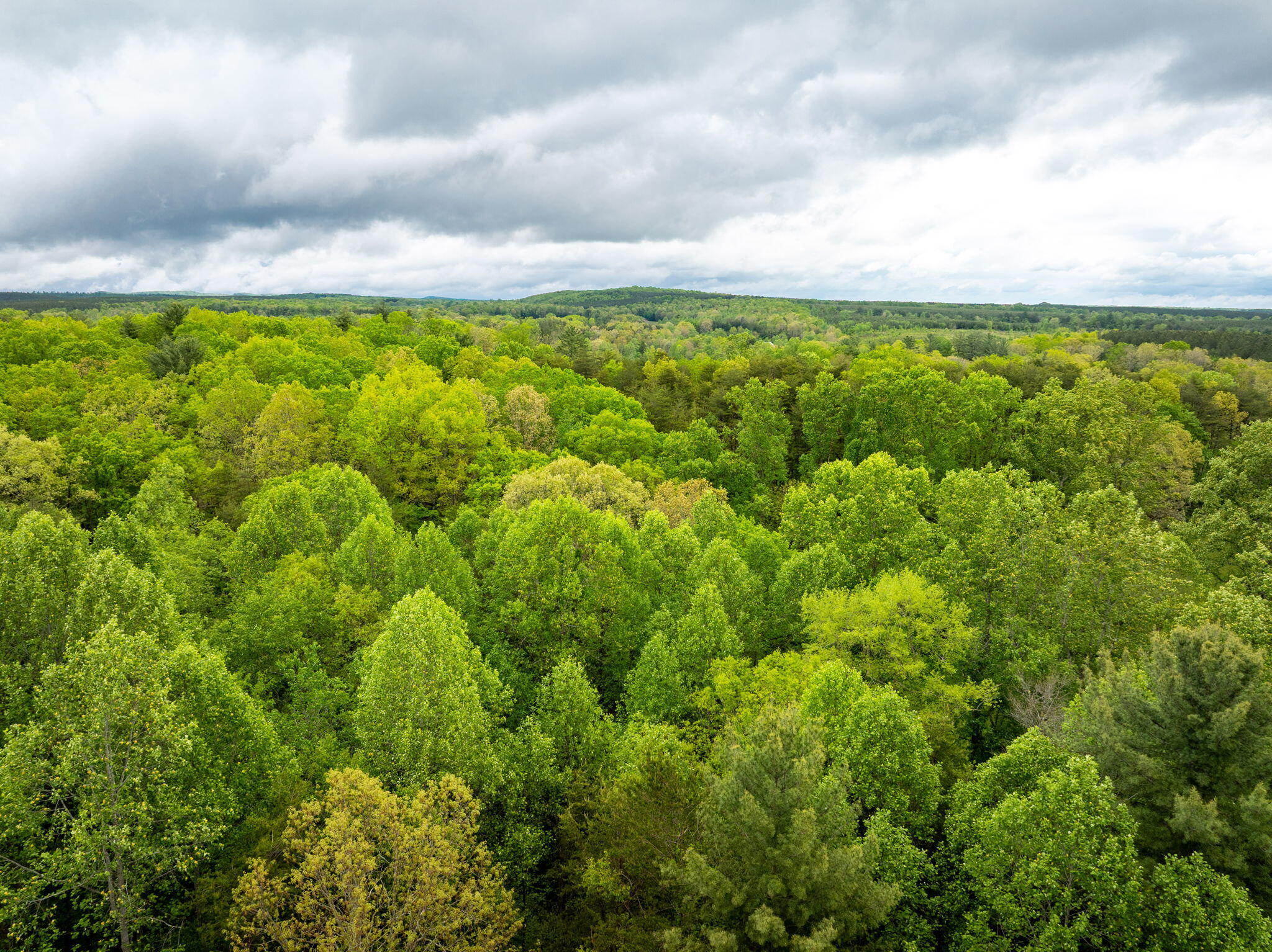 0 Blain Smith Road, Unit TRACT 8 Graysville, TN 37338 - Photo 6 of 8 13-web-or-mls-DJI_20250505095445_0068_D-