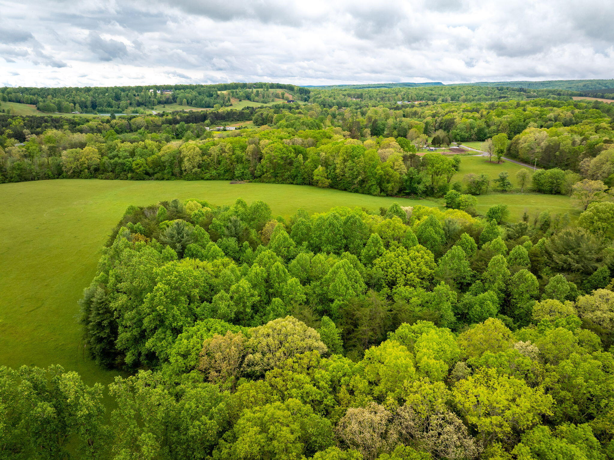 0 Blain Smith Road, Unit TRACT 8 Graysville, TN 37338 - Photo 7 of 8 14-web-or-mls-DJI_20250505095503_0069_D-