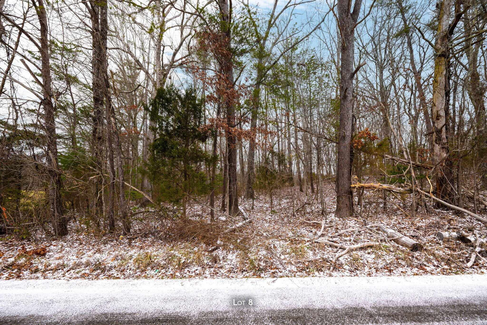 0 Blain Smith Road, Unit TRACT 8 Graysville, TN 37338 - Photo 8 of 8 46-web-or-mls-DSC_1157-108-7