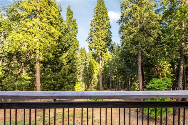 a view of a tree in front of a house