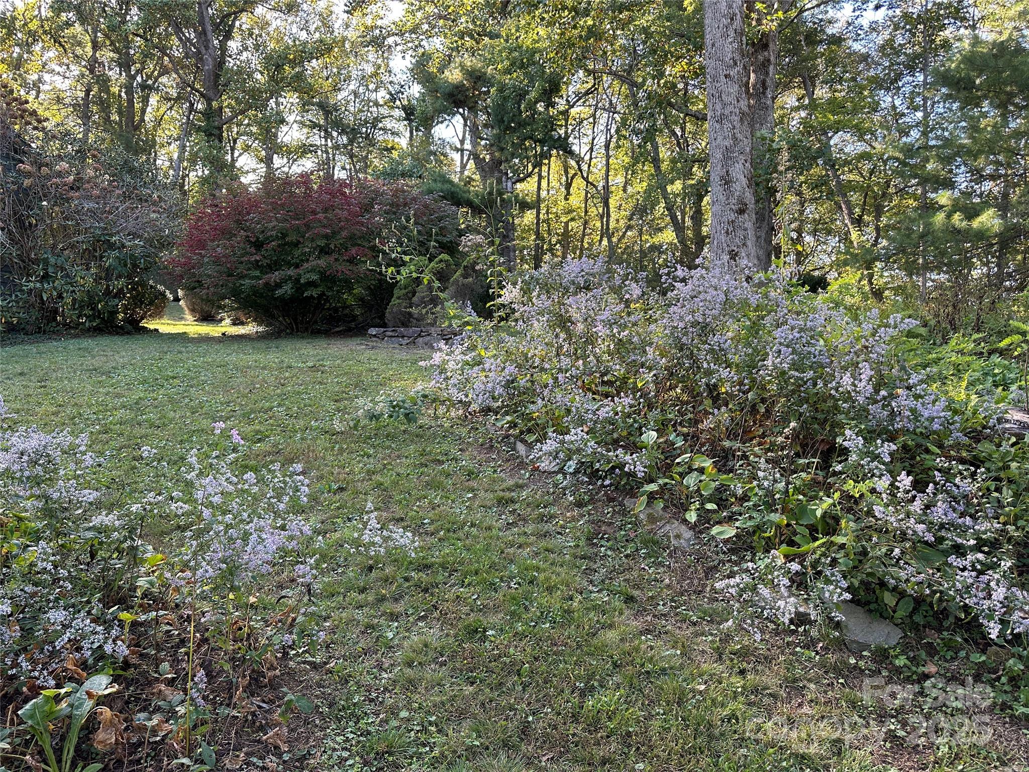16 Osborn Knob Road Marion, NC 28752 - Photo 41 of 48 a view of a yard with a tree