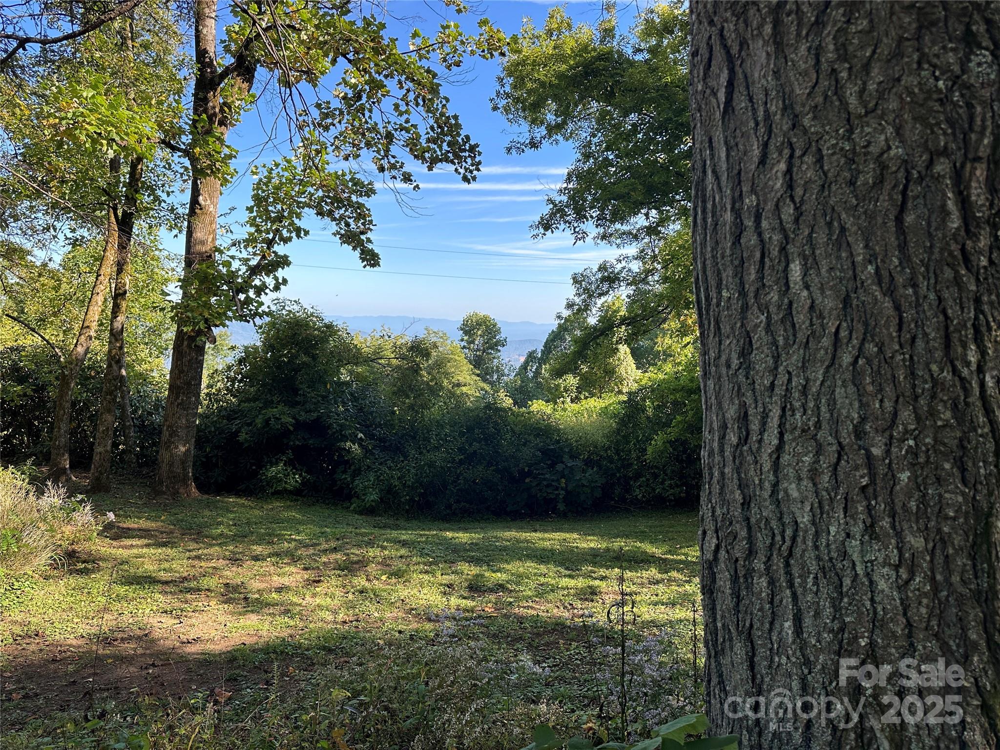 16 Osborn Knob Road Marion, NC 28752 - Photo 42 of 48 a view of a lake