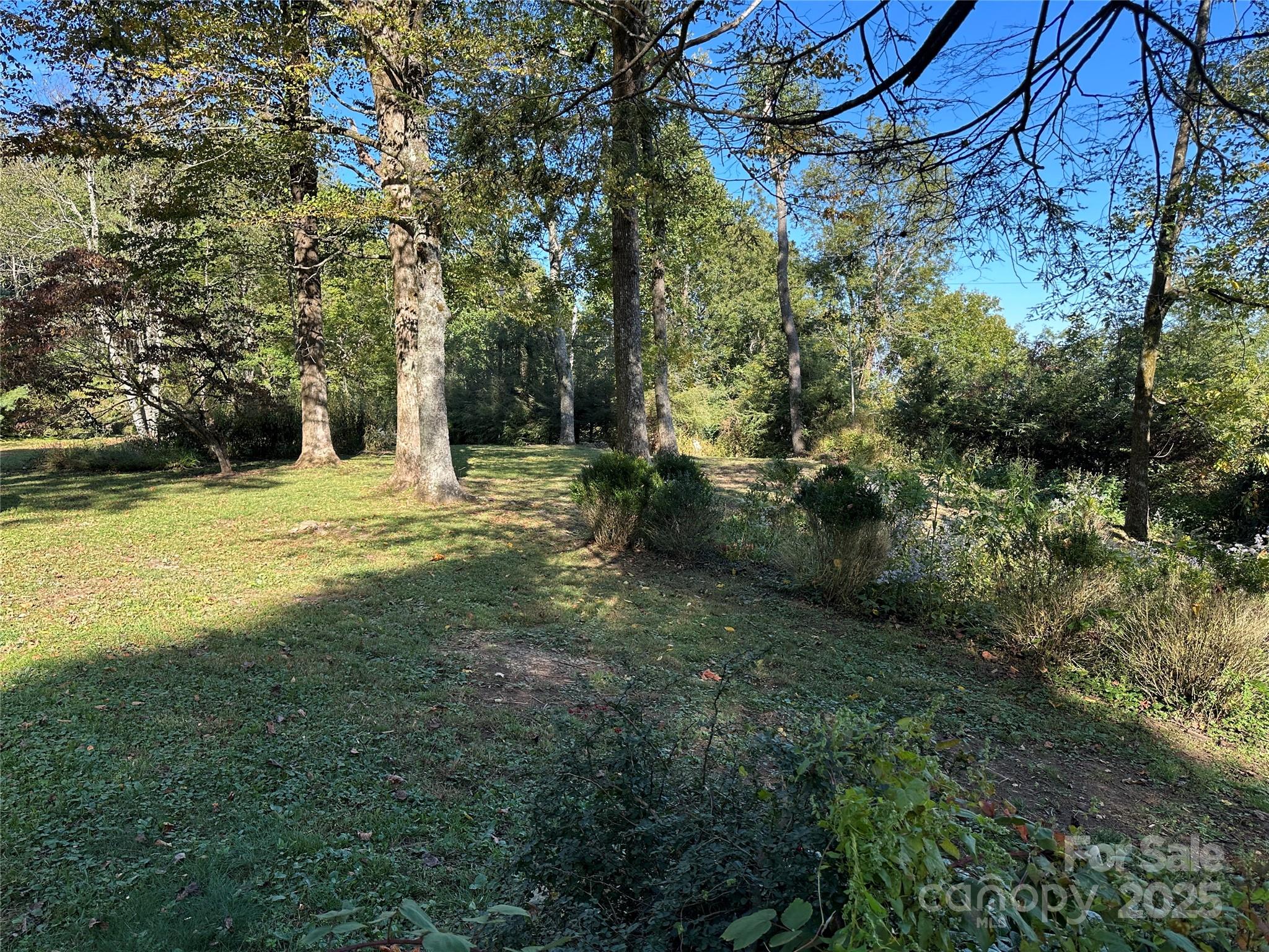 16 Osborn Knob Road Marion, NC 28752 - Photo 43 of 48 a view of a yard with plants and large trees