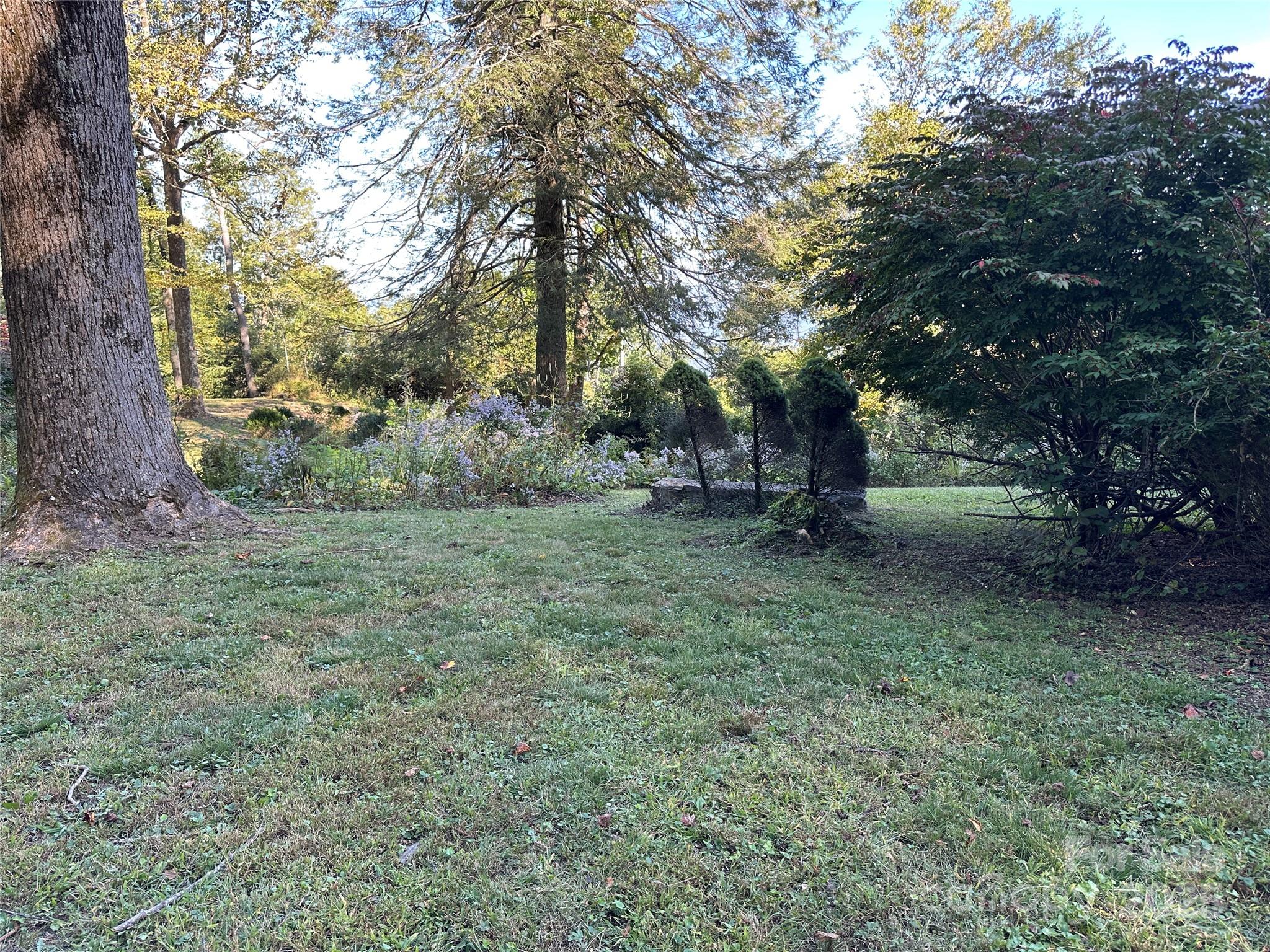 16 Osborn Knob Road Marion, NC 28752 - Photo 44 of 48 a view of outdoor space with deck and yard