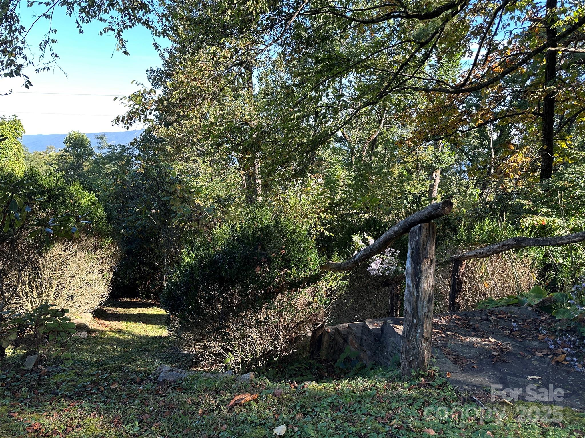 16 Osborn Knob Road Marion, NC 28752 - Photo 46 of 48 a view of a tree in a yard