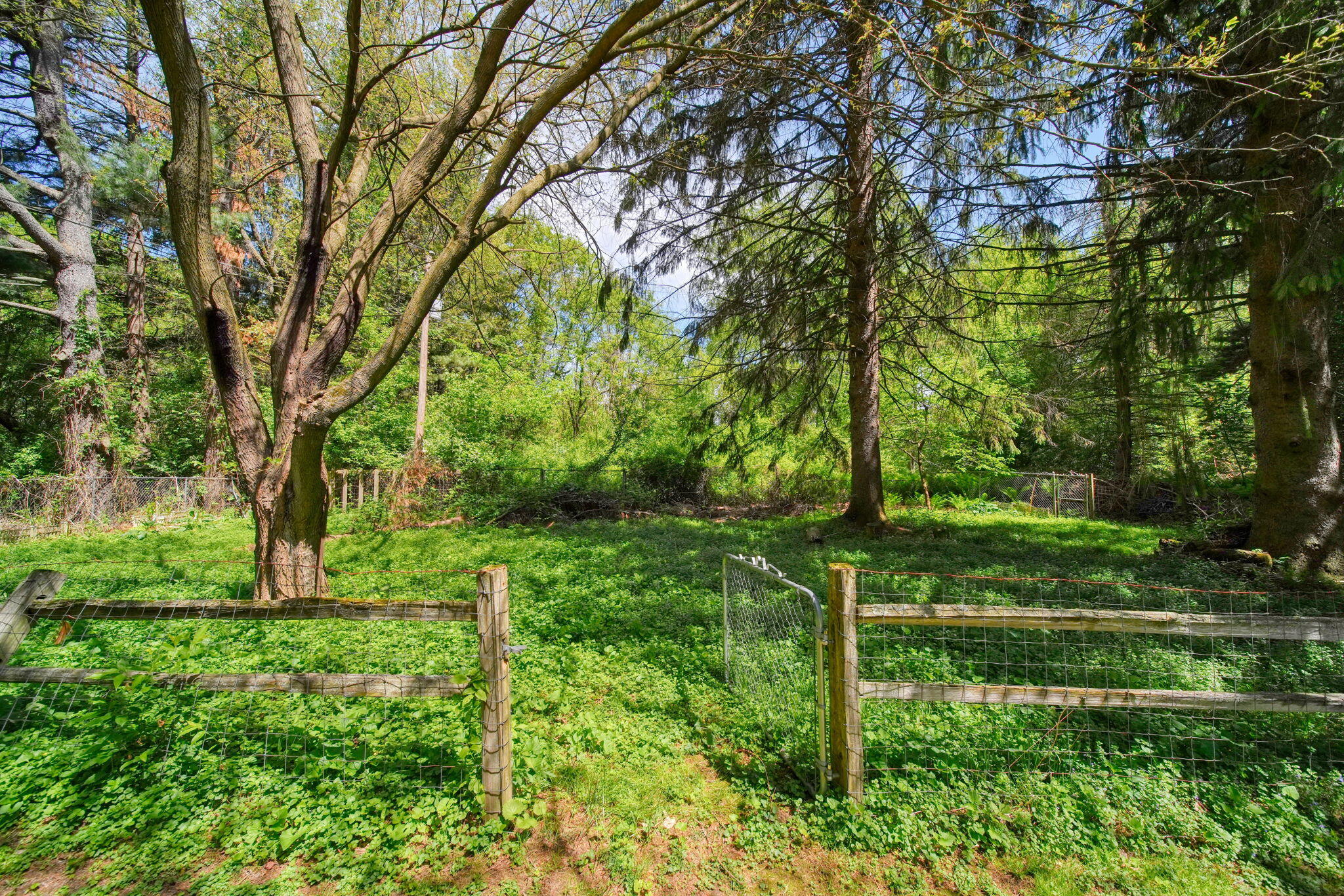 8700 King Road Parma, MI 49269 - Photo 27 of 36 43-web-or-mls-DSC07315_HDR