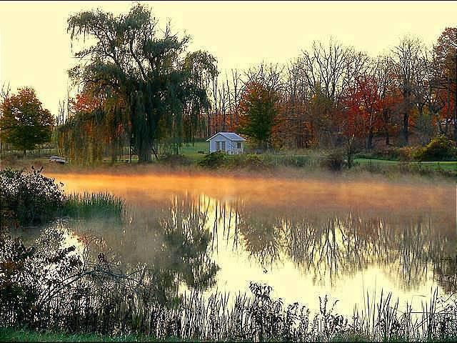 18580 Grass Lake Road Manchester, MI 48158 - Photo 8 of 29 Photo 8