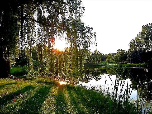 18580 Grass Lake Road Manchester, MI 48158 - Photo 10 of 29 Photo 10