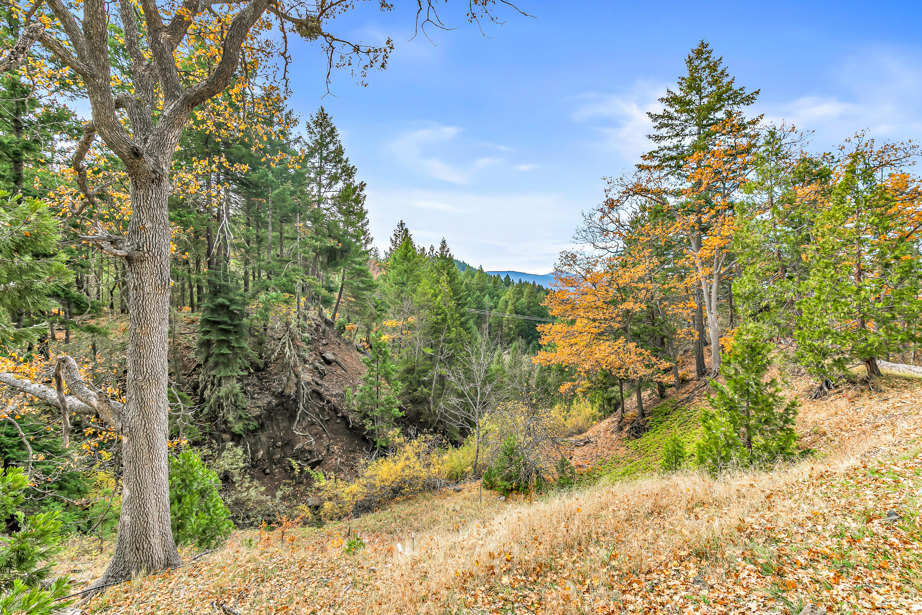 108 Baldy Creek Road Ashland, OR 97520 - Photo 15 of 23