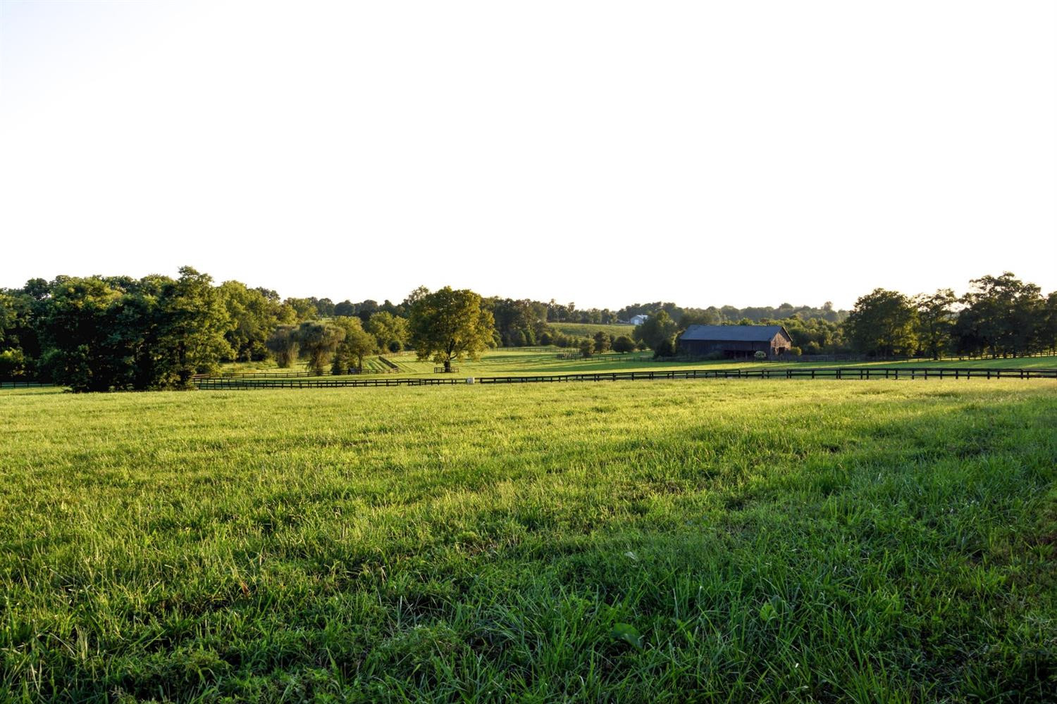 5685 Sulphur Wl Road Lexington, KY 40509 - Photo 30 of 34 Photo 30