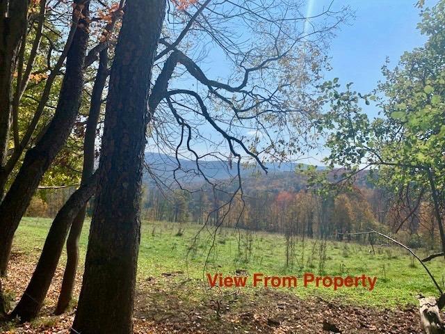 0 Herrick Road Halcottsville, NY 12438 - Photo 1 of 1 Gallery Image 1