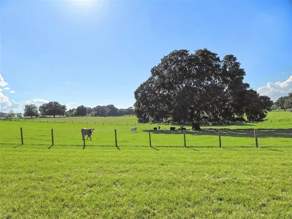 a view of lawn chairs with wooden fence