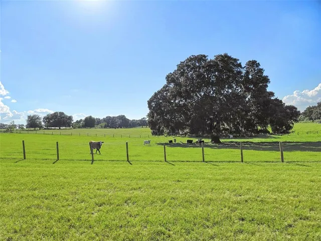 a view of lawn chairs with wooden fence