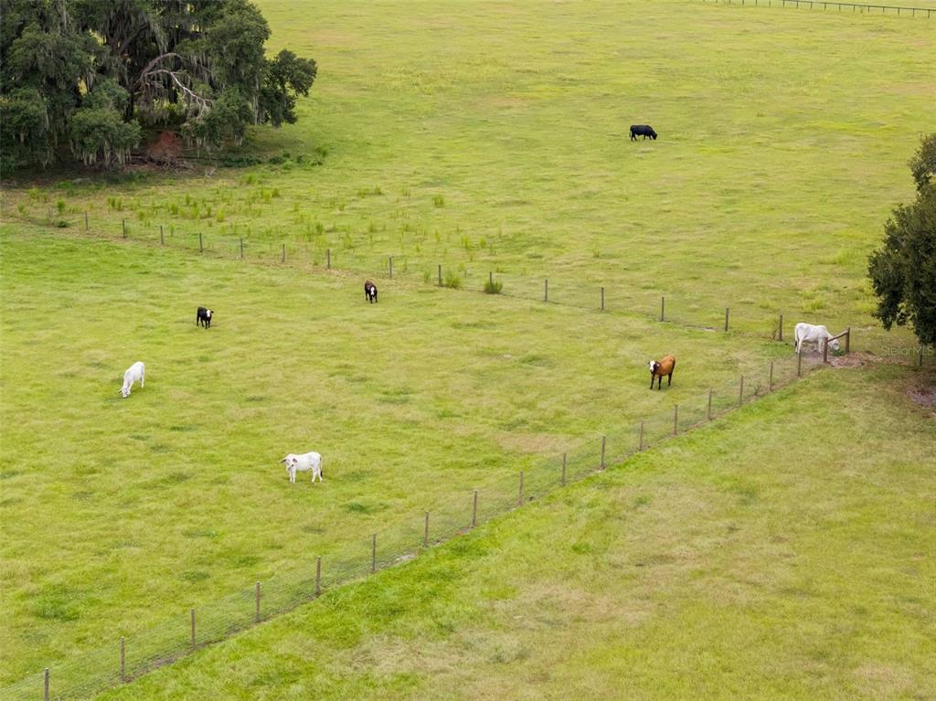 23220 Northwest 27 Street Morriston, FL 32668 - Photo 34 of 44 a view of a shower