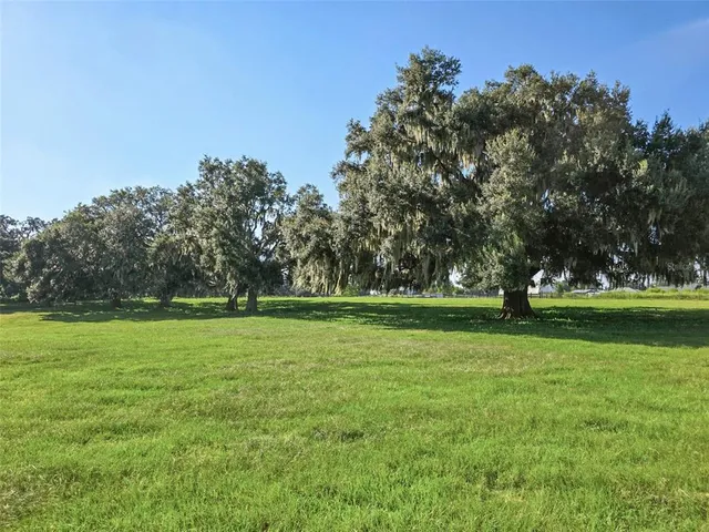a view of field with trees in the background