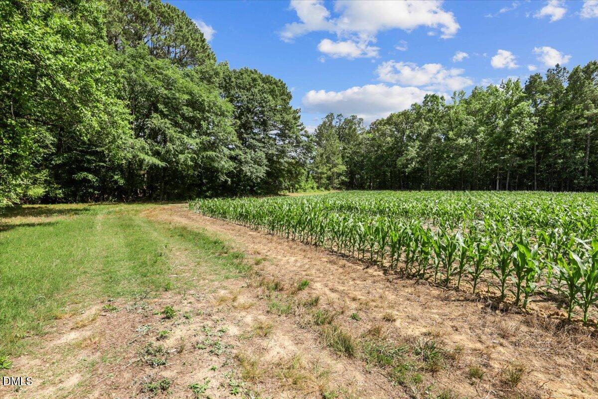 0 Antioch Church Road Middlesex, NC 27557 - Photo 17 of 26