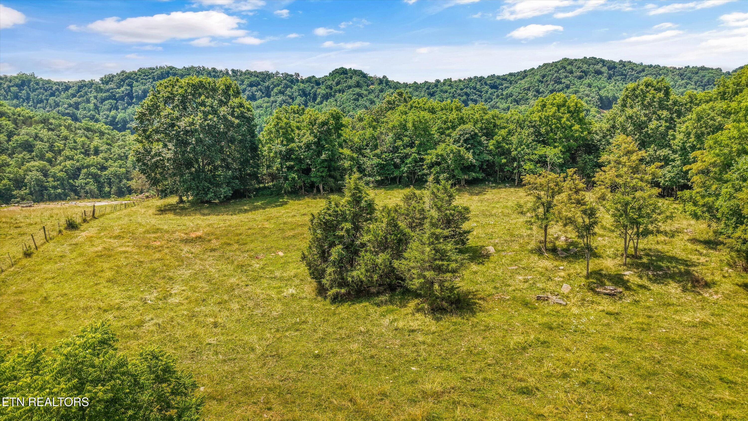 2974 Stoney Gap Road Sneedville, TN 37869 - Photo 30 of 32 49-2974 Stoney Gap Rd 44