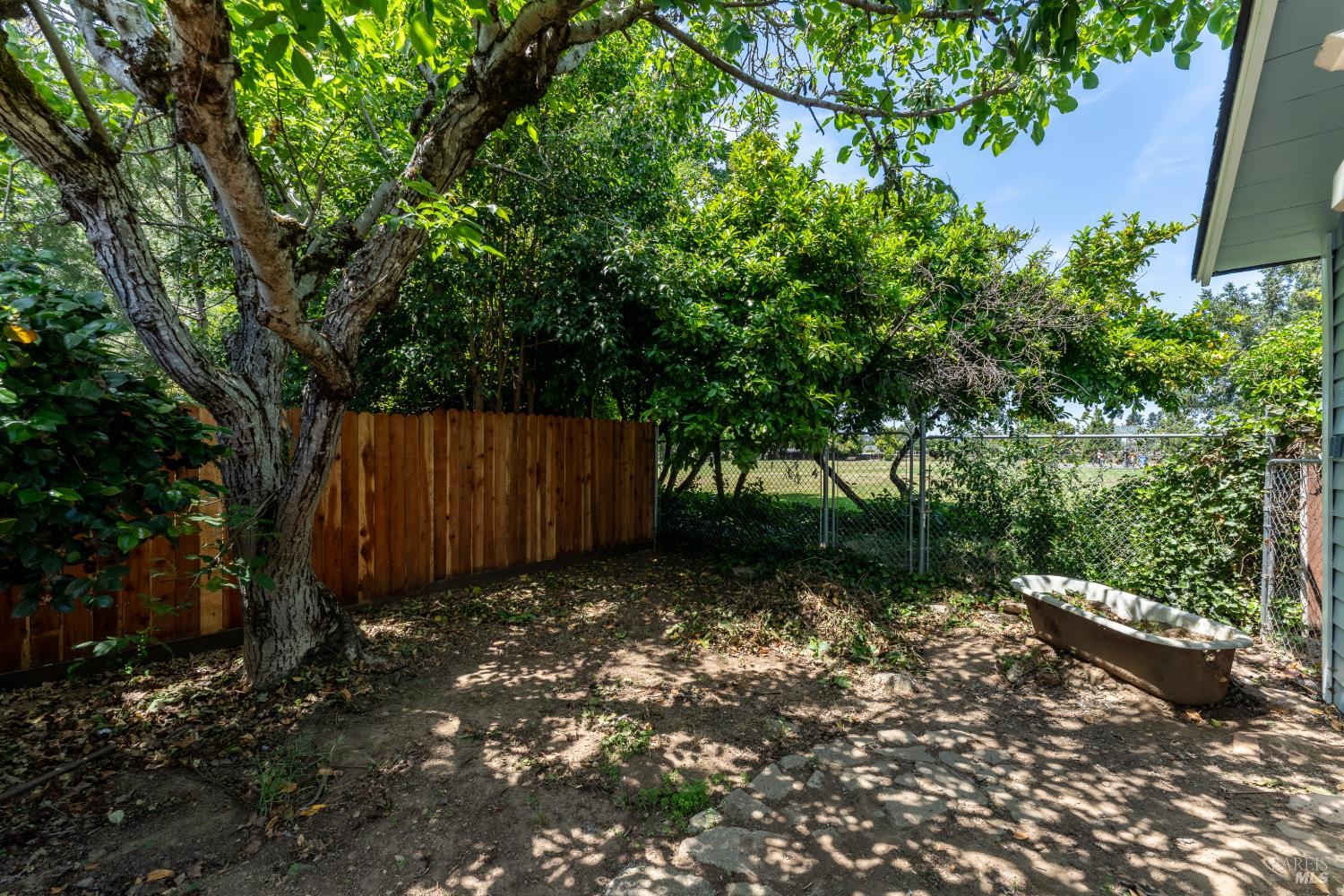 262 Magnolia Street Ukiah, CA 95482 - Photo 28 of 34 a view of backyard with tree