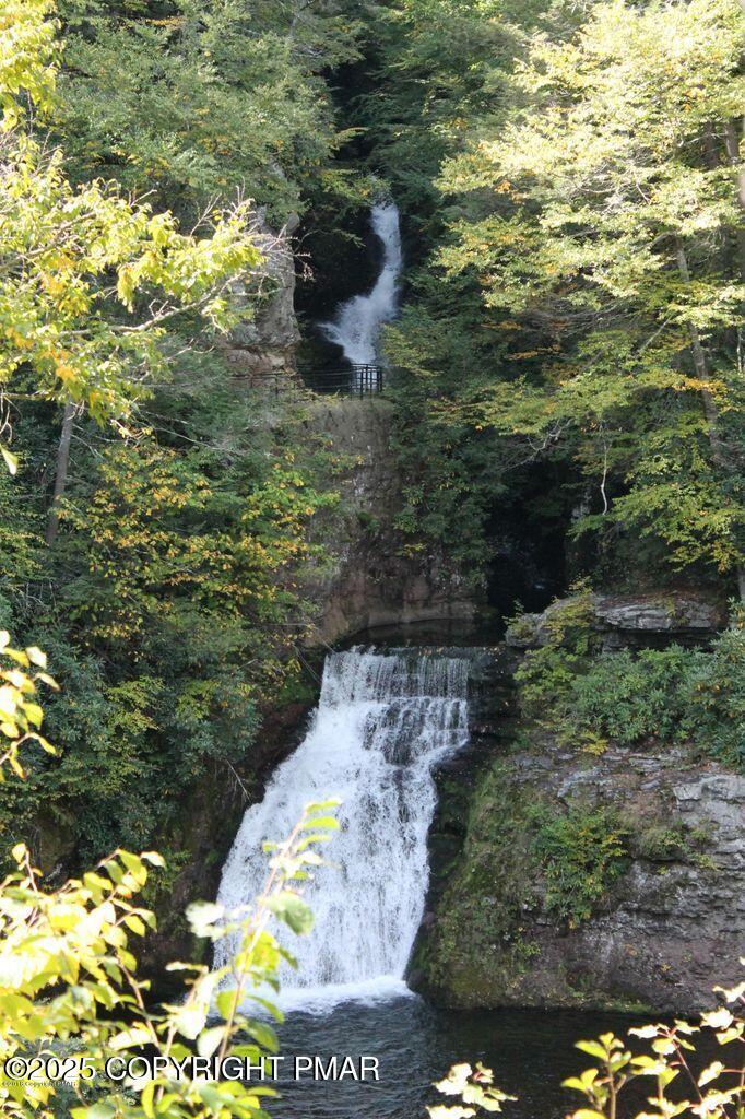 519 Pheasant Lane Cresco, PA 18326 - Photo 70 of 79 Buck Hill Falls