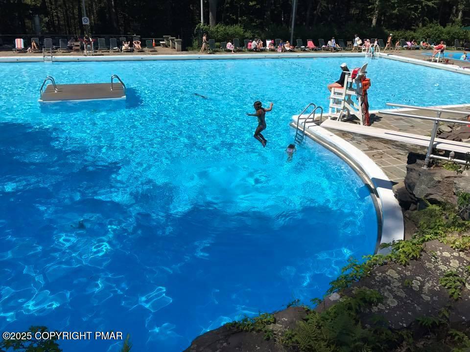 519 Pheasant Lane Cresco, PA 18326 - Photo 71 of 79 Buck Hill Pool