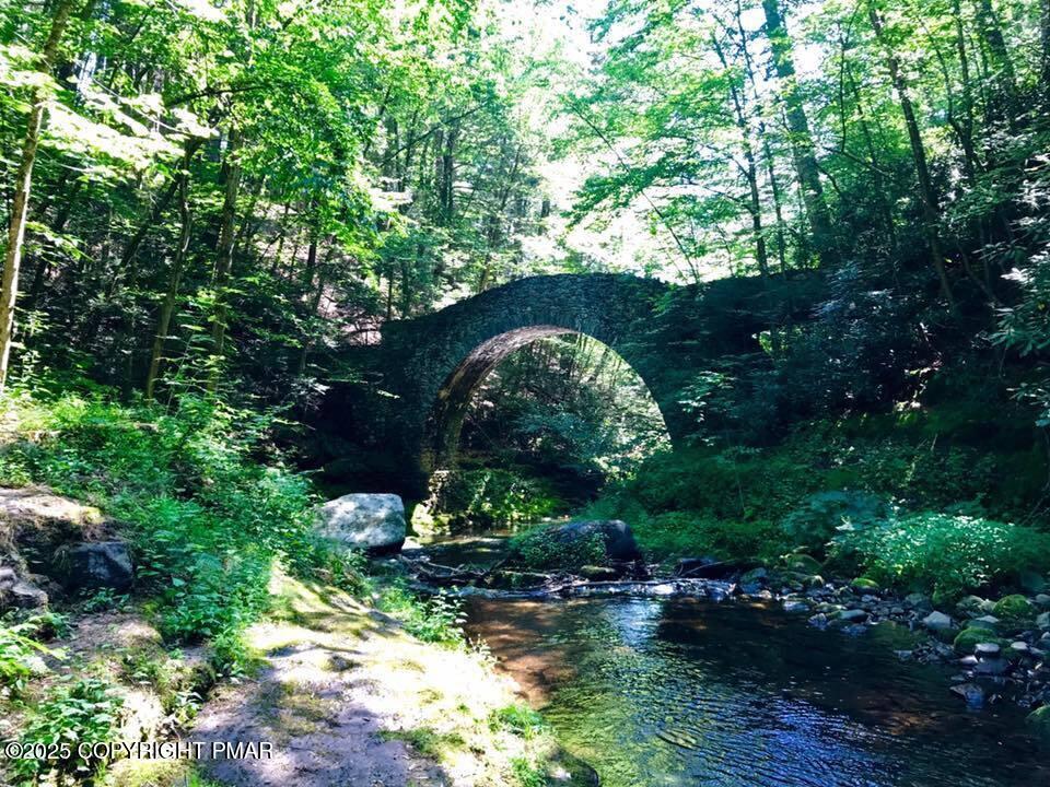 519 Pheasant Lane Cresco, PA 18326 - Photo 74 of 79 Grounds