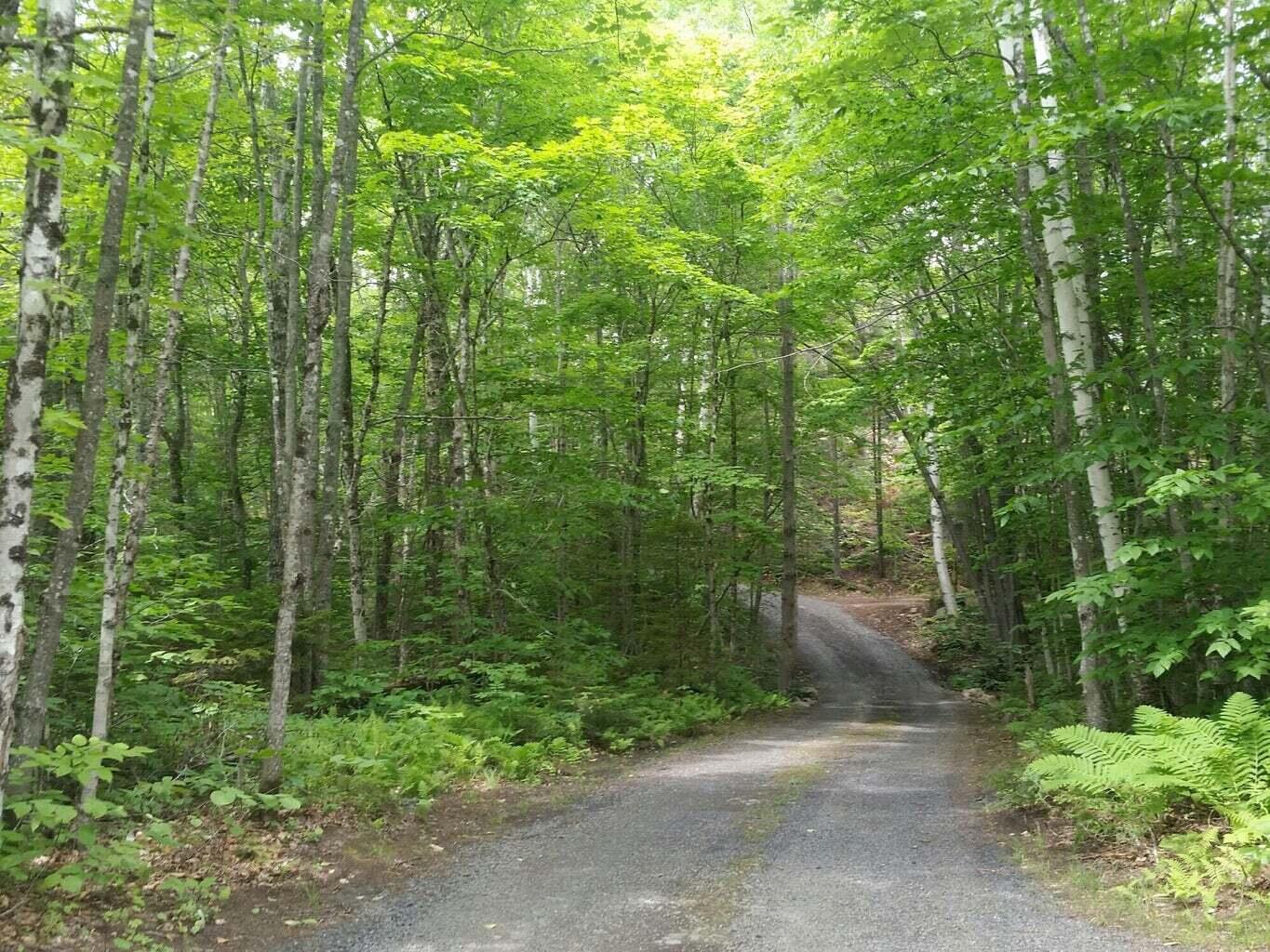 1 Pine Road, Unit LOT B Sandy River Plt, ME 04970 - Photo 2 of 2 Pine Road on Lot B