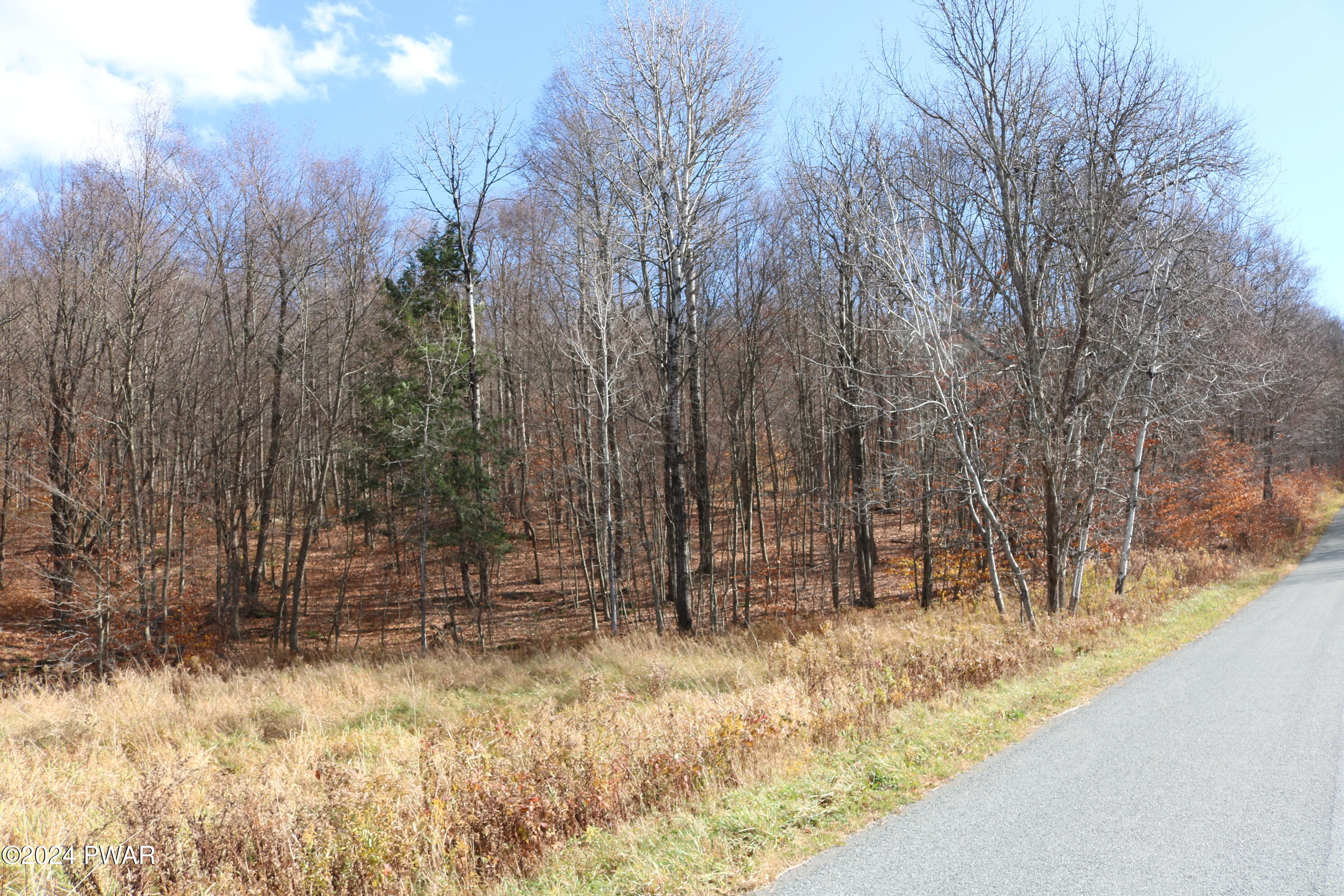0 Rose Hill Road Lake Como, PA 18437 - Photo 1 of 10