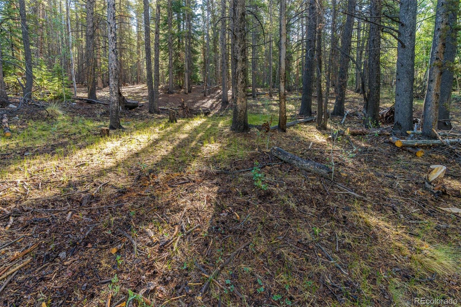 Lot 1 Snow Cap Peaks Road Fairplay, CO 80440 - Photo 7 of 20