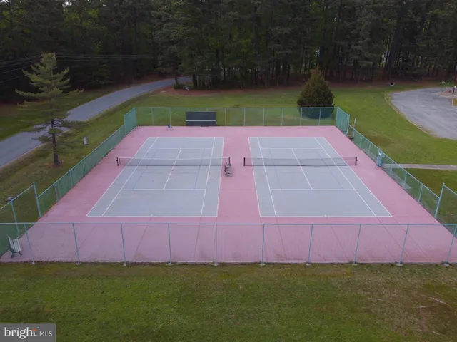 a view of a bunch of flowers in it